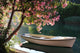 Boat on a River Under a Blooming Tree Wall Decal