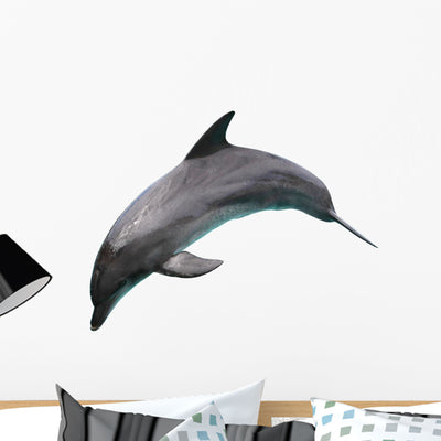Dolphin Jumping Wall Decal shown on a wall