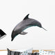 Dolphin Jumping Wall Decal
