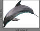 Dolphin Jumping Wall Decal