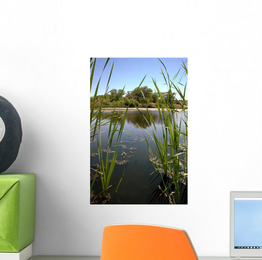 Riparian Pond Reflection Wall Decal