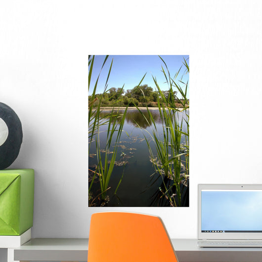 Riparian Pond Reflection Wall Decal