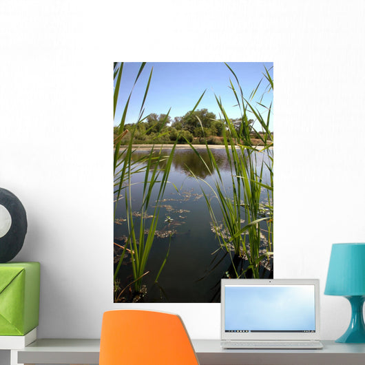 Riparian Pond Reflection Wall Decal