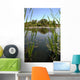 Riparian Pond Reflection Wall Decal