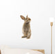 Adorable Rabbit White Wall Decal