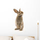 Adorable Rabbit White Wall Decal