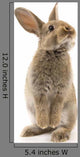 Adorable Rabbit White Wall Decal