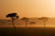 Sunset Massai Mara Wall Decal