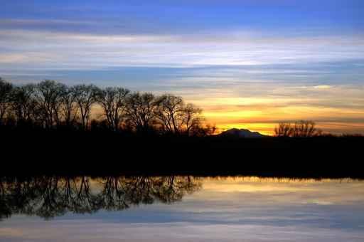 Riparian Sunset Wall Decal