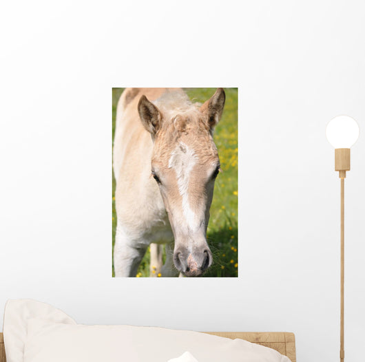 Puledro Wall Decal