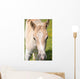 Puledro Wall Decal