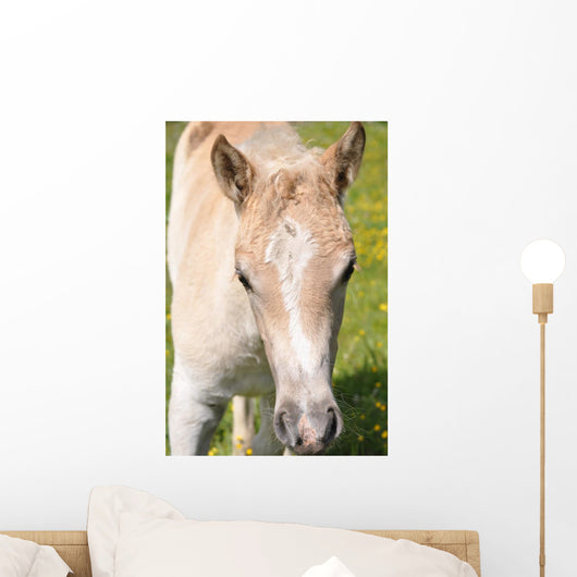 Puledro Wall Decal
