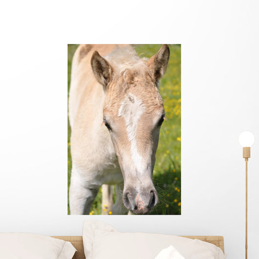 Puledro Wall Decal