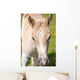 Puledro Wall Decal