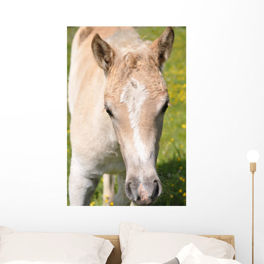 Puledro Wall Decal