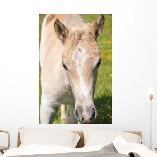Puledro Wall Decal