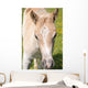 Puledro Wall Decal