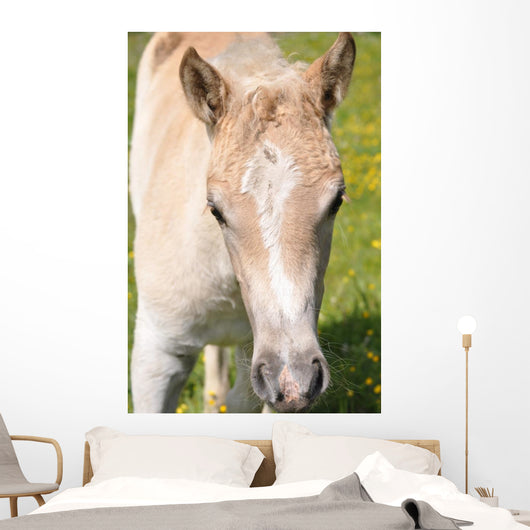 Puledro Wall Decal