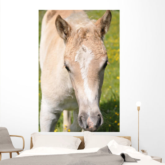 Puledro Wall Decal