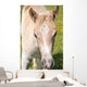 Puledro Wall Decal