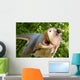 Carnotaurus Sastrei Wall Decal