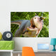 Carnotaurus Sastrei Wall Decal