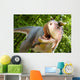 Carnotaurus Sastrei Wall Decal