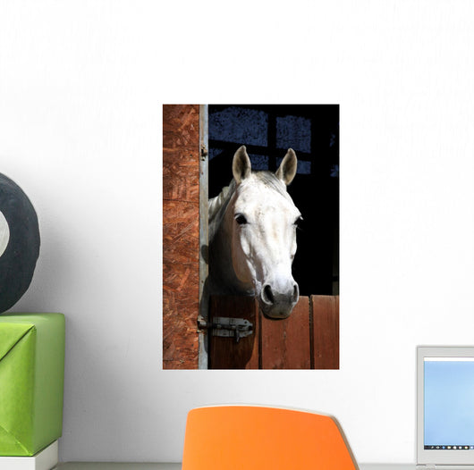 Horse Stable Wall Decal