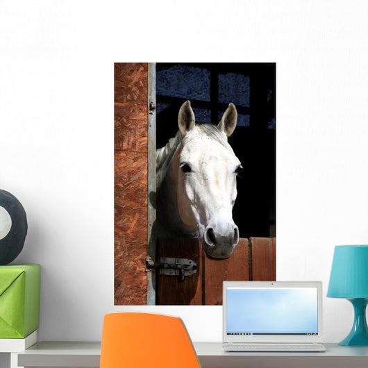 Horse Stable Wall Decal