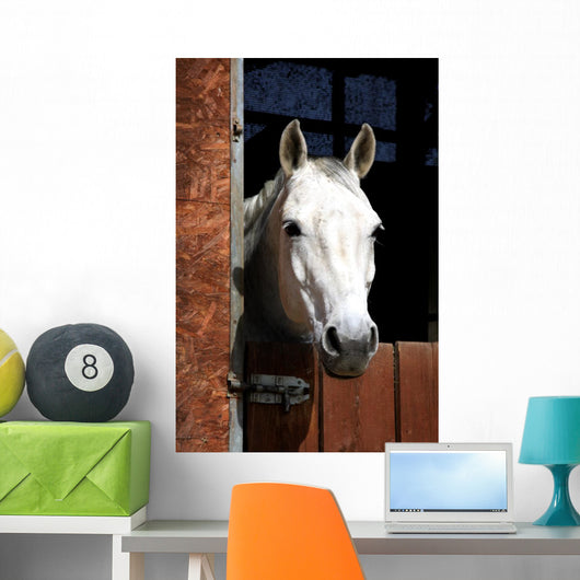 Horse Stable Wall Decal