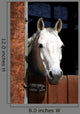 Horse Stable Wall Decal