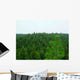 Forest Tree Tops Landscape Wall Decal