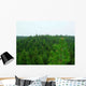 Forest Tree Tops Landscape Wall Decal
