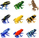 Poison Dart Frogs Wall Decal