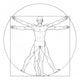 Vitruvian Man Wall Decal