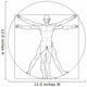 Vitruvian Man Wall Decal