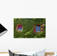 Windows Surrounded Creeping Ivy Wall Decal