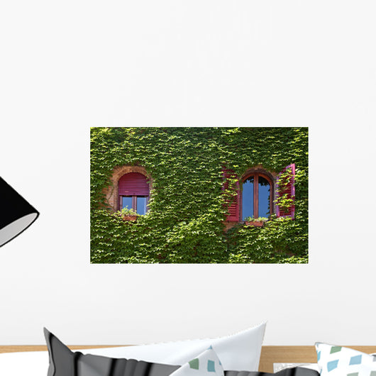 Windows Surrounded Creeping Ivy Wall Decal