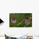Windows Surrounded Creeping Ivy Wall Decal