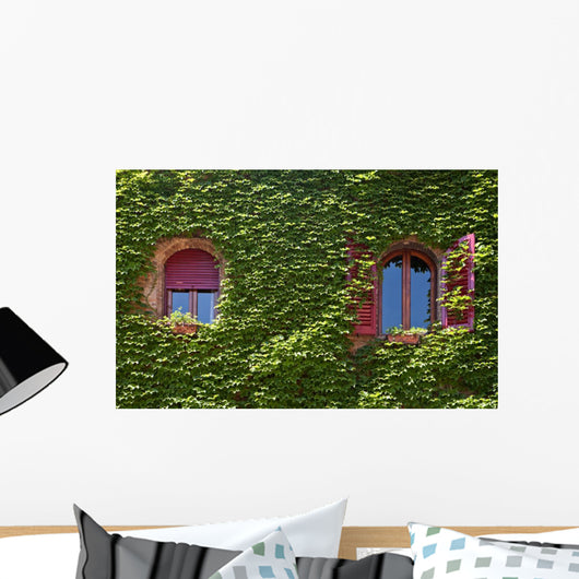 Windows Surrounded Creeping Ivy Wall Decal