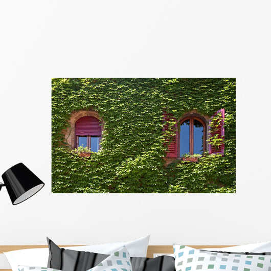 Windows Surrounded Creeping Ivy Wall Decal