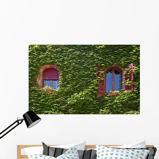 Windows Surrounded Creeping Ivy Wall Decal
