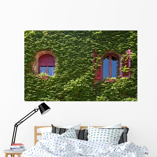 Windows Surrounded Creeping Ivy Wall Decal