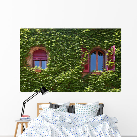 Windows Surrounded Creeping Ivy Wall Decal