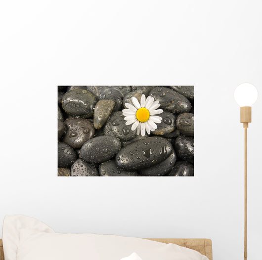 Wet Black Stones and Wall Decal