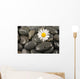 Wet Black Stones and Wall Decal