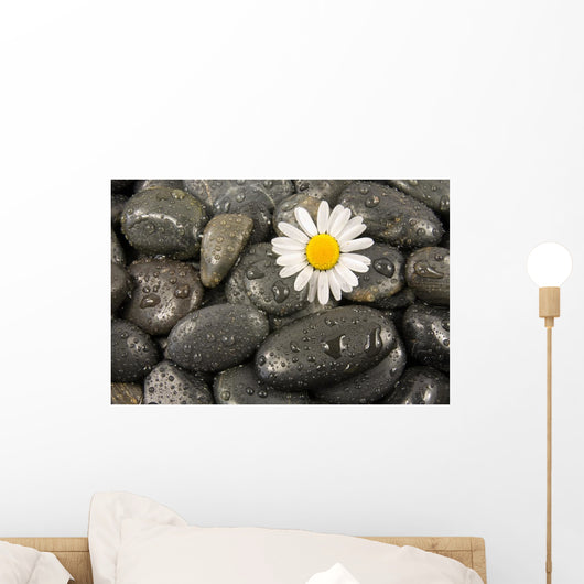 Wet Black Stones and Wall Decal