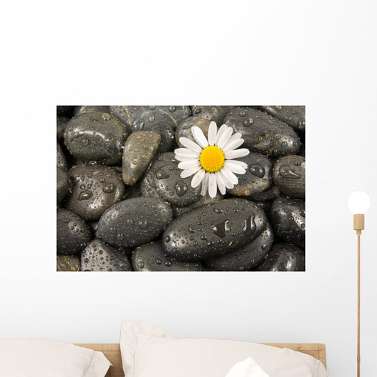 Wet Black Stones and Wall Decal