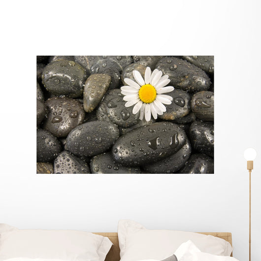 Wet Black Stones and Wall Decal