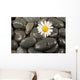 Wet Black Stones and Wall Decal